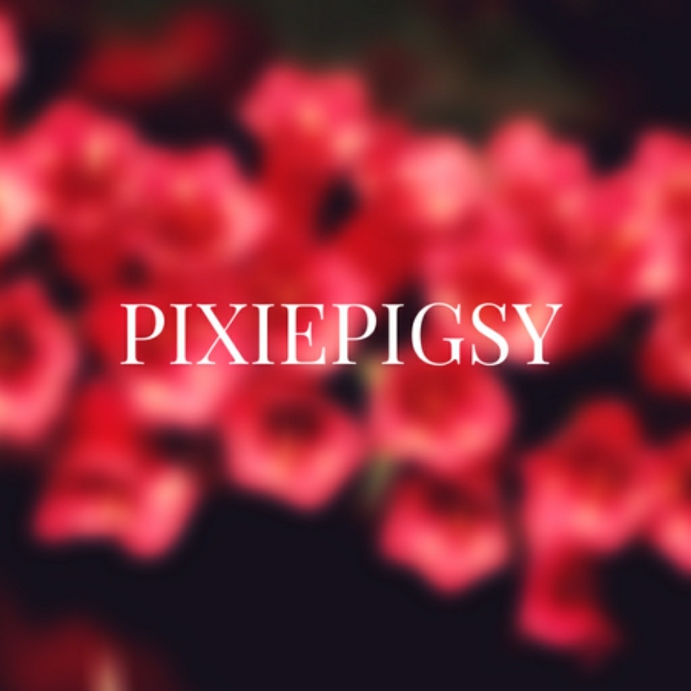 Meet the Posher PixiePigsy - Picture 1 of 1